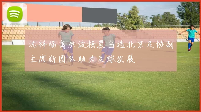 沈祥福高洪波杨晨当选北京足协副主席新团队助力足球发展